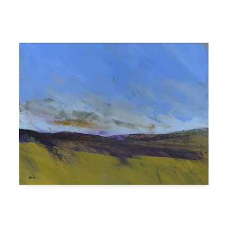 Paul Bailey 'Upland Undulation' Canvas Art,14x19